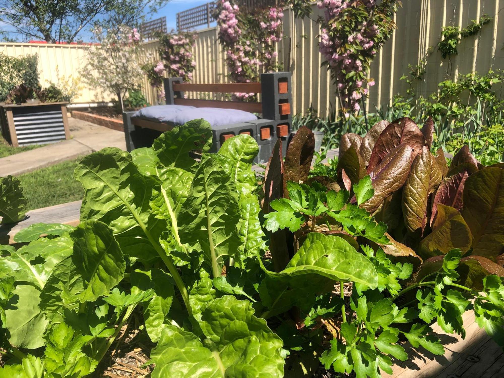 Lovely Budget Vegan Homestay Launceston Eksteriør bilde