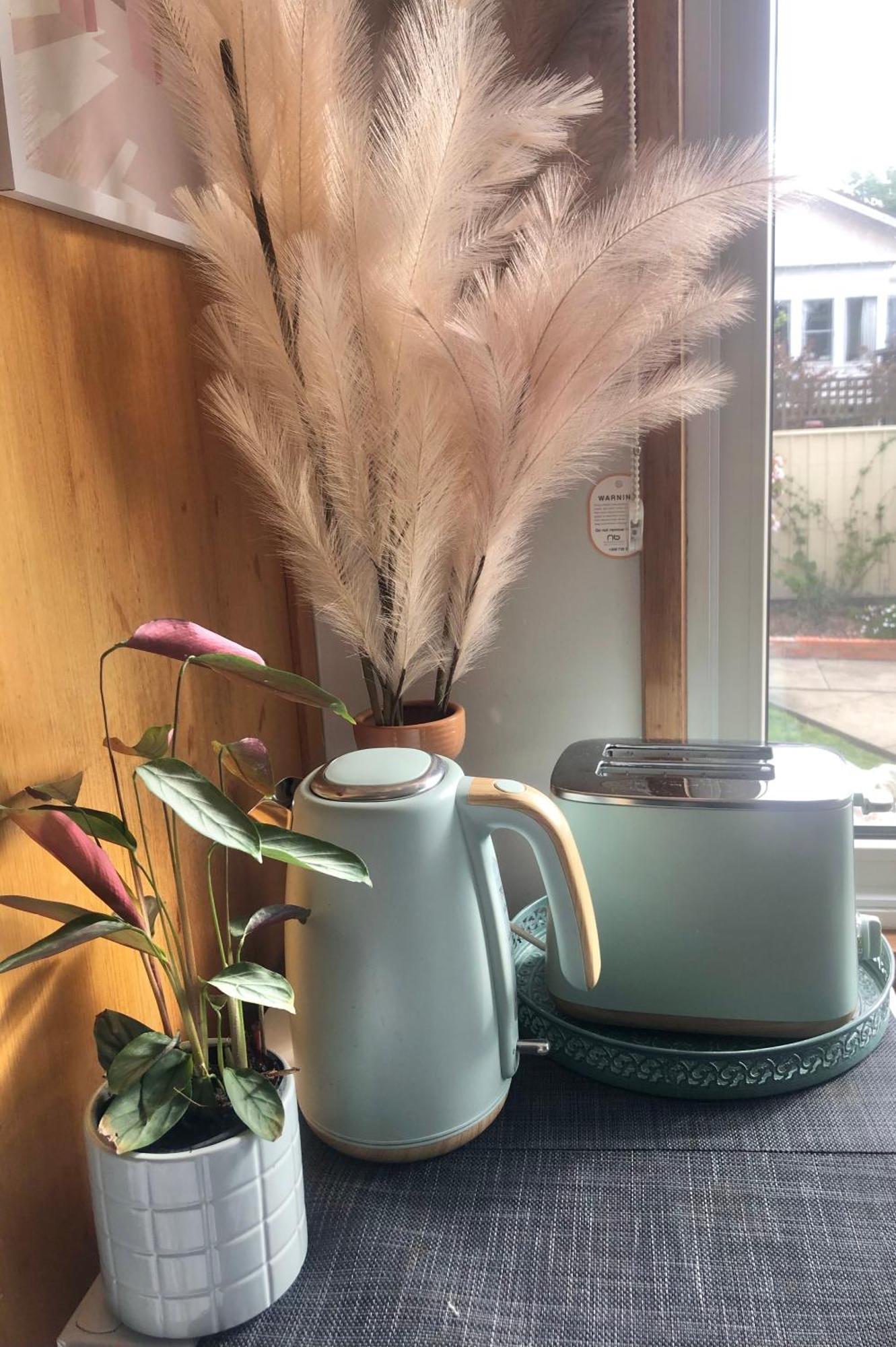 Lovely Budget Vegan Homestay Launceston Eksteriør bilde